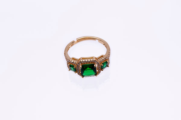 Anillo Orbit