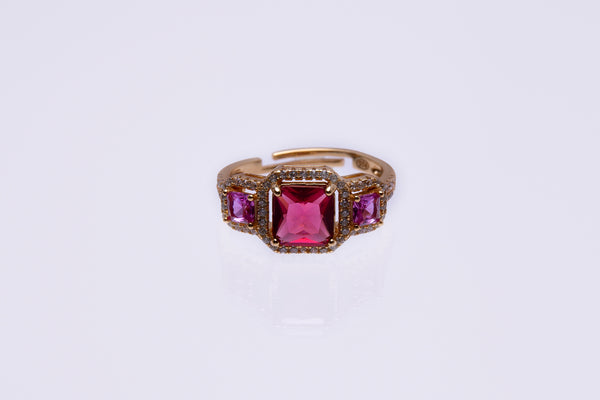 Anillo Atria