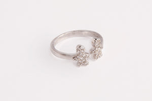 Anillo Bimba