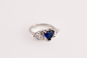 Anillo Nexo