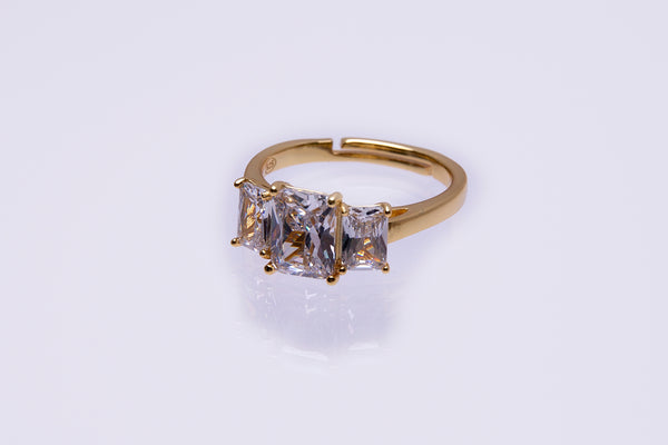 Anillo Tempus